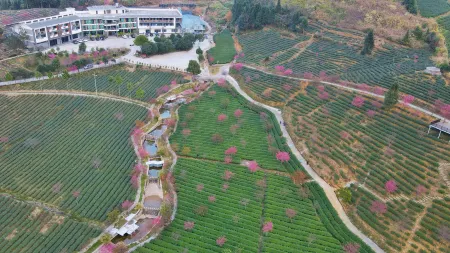 Xinfeng Senlai Dafeng Tea Manor Отели в г. Синфен