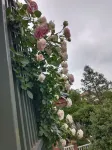 Shaoshan Lanting Academy Reside - Villas
