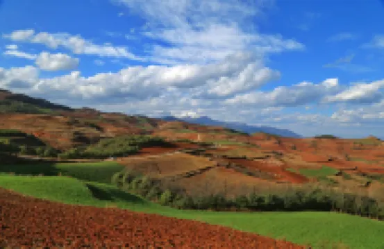 Red Land Red Four Seasons Farm