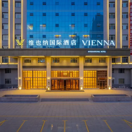 Vienna International Hotel (Bole Branch)