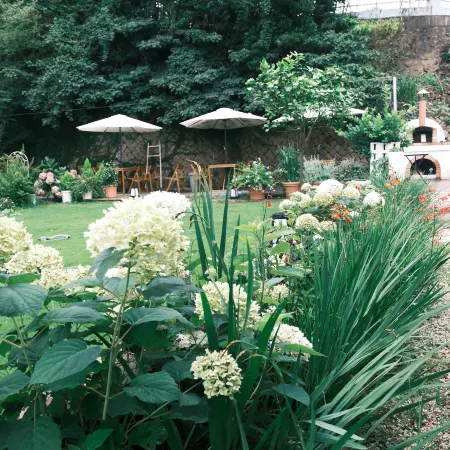 Cicada Hotel ( Xiushan)