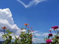 Shanli Grandma Farmhouse Hotel in zona Mulihong