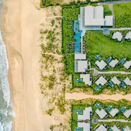 Mia Quy Nhon