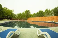 Brown Town Resort, Spa & Convention - プール