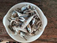 Lakeside Garden Hotel