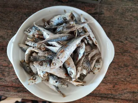 Lakeside Garden Hotel