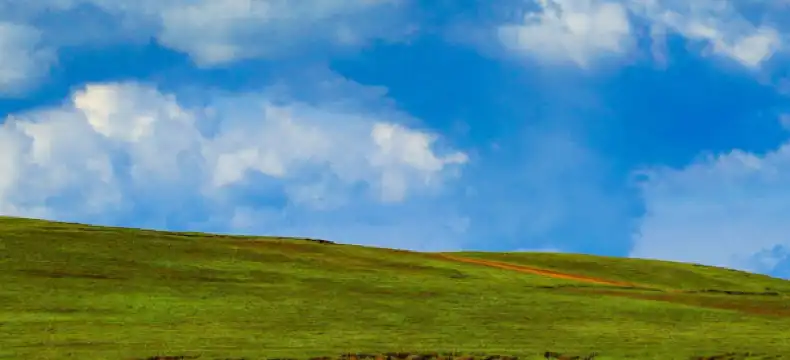 Hotels in White Hall