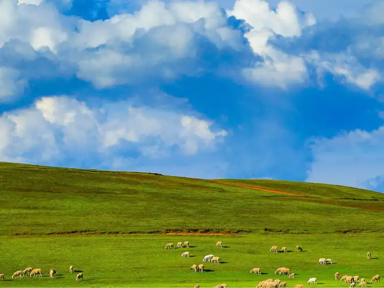 فنادق في Fajoes