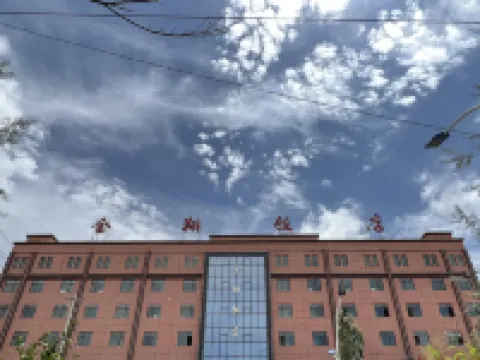 Jinxiang Hotel Hotels in Dulan