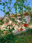Danqiu Mijing Homestay