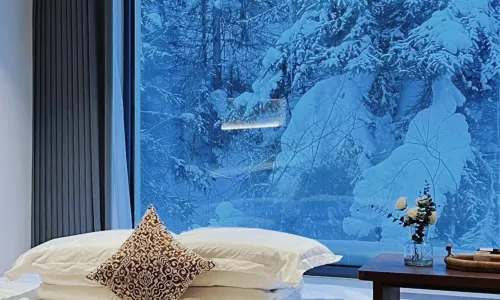 Xuexiang Xuezhi·Xiaozhu