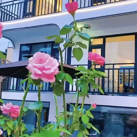 Yaxin Meina | Serene Courtyard Boutique Stay (Nalati Scenic Area)