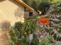 Yinfeng Homestay Hotels in Luxi County