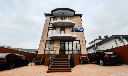 Orion Plyus Hotel