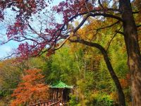 广州从化溪头村和记山水居民宿 - 酒店附近