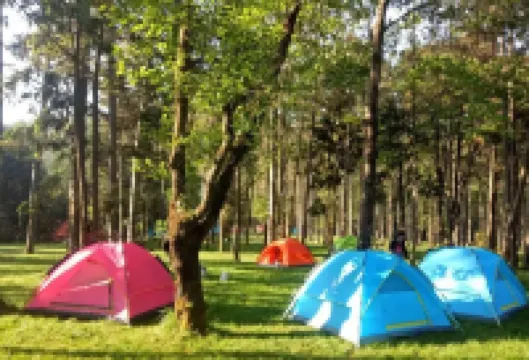 วิลล่าหลงหยุน หยางเซิงกู่