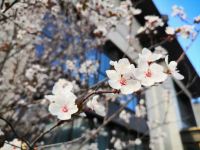 许昌瑞贝卡芙蓉園酒店 - 酒店附近