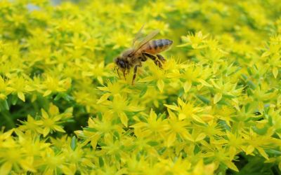 ホテル周辺 ホテルリゾネックス名護の写真