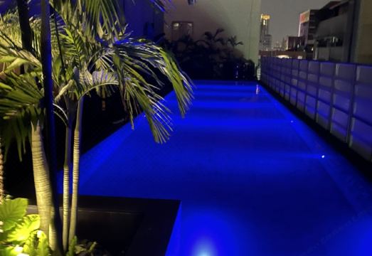 더 트리 하우스