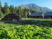 Cezanne Art hotel Hotels near Grassland Stone Human Statues in Kazakh Ethnic Cultural Park