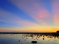 Changjiang Haitang Travel Rental