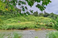 Ingthara Resort Hotels near Phang Nga Elephant Park