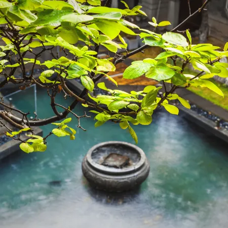 Ancient City · Jianjian Bieyuan (Cangwu Avenue Branch)