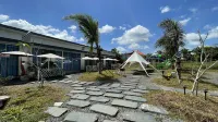 My Courtyard