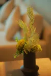 大理洱海晶柏麗飯店