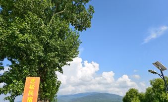 Zhison Homestay