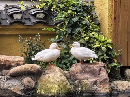 gongcheng xiandeju Homestay