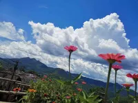 Shanli Grandma Farmhouse Hotel in zona Mulihong