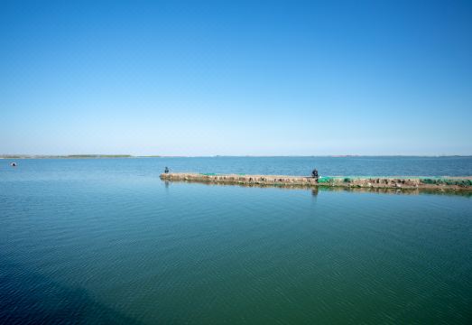 천진 쥔라이 부티크 호텔 외관