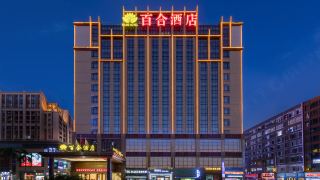 baihe-hotel-shunde-lecong-jiajucheng-