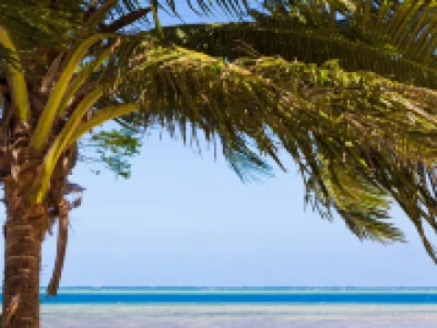 Funky Fish Beach & Surf Resort Hotels in Malolo Island