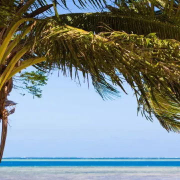 Funky Fish Beach & Surf Resort