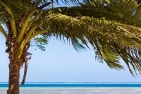 Funky Fish Beach & Surf Resort Hotels near Matamanoa Island