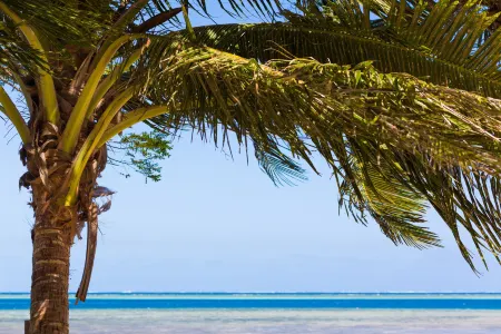 Funky Fish Beach & Surf Resort Отели в г. Мана Айленд