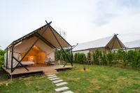 Young LiveCamp