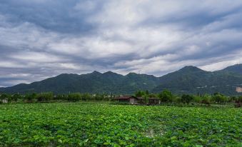 Hetang Yueshe Homestay