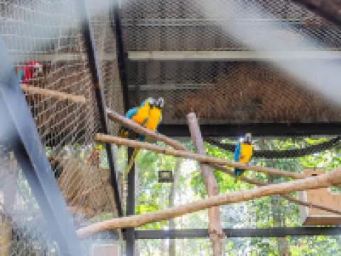 คาทิลิยา ปาร์ค วิลล่า โรงแรมในอำเภอ แม่จัน