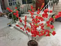 Shidi Fengshe Homestay (Gongliu County Wetland Park)