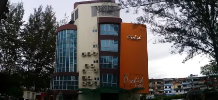 THE ORCHID HOTEL Отели рядом с достопримечательностью «Lin's Swan Garden»