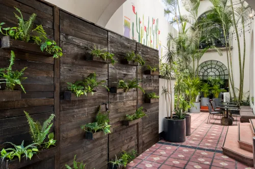 Santa Casa by Tasman