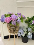 ArtLoft·Zhixia·Designer Boutique Stay (Xiangyang Ancient City North Street) - romantis