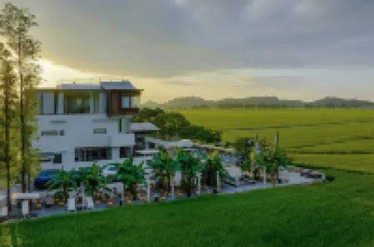 野小院（崖口店） 孫中山故居/崖口村酒店