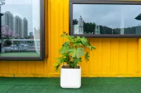 Taoyuan Xiaozhu Homestay
