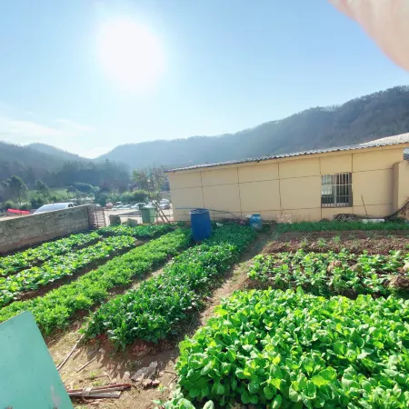 Anqing Quanyi Farm Stay