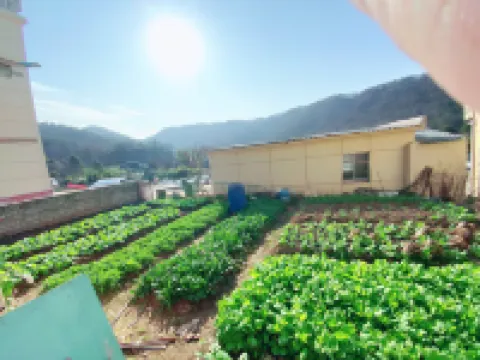 Anqing Quanyi Farm Stay