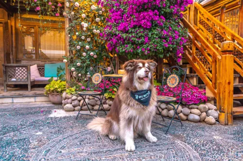 Anyin Private Courtyard (Lijiang Sunshine Courtyard)